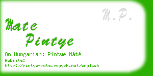 mate pintye business card
